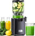 LINKChef Extracteur De Jus de Fruits et Légumes Entiers – 250W Slow Juicer Machine Avec Fonction Inverse, Sans BPA, Noir