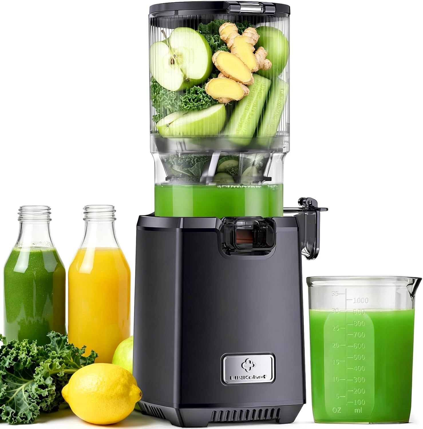 LINKChef Extracteur De Jus de Fruits et Légumes Entiers – 250W Slow Juicer Machine Avec Fonction Inverse, Sans BPA, Noir
