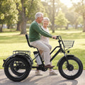 HDaspijh Tricycle électrique Pour Adultes - Charge 200 Kg – Batterie Amovible 48 V/12 Ah - Autonomie 35 Km, Noir