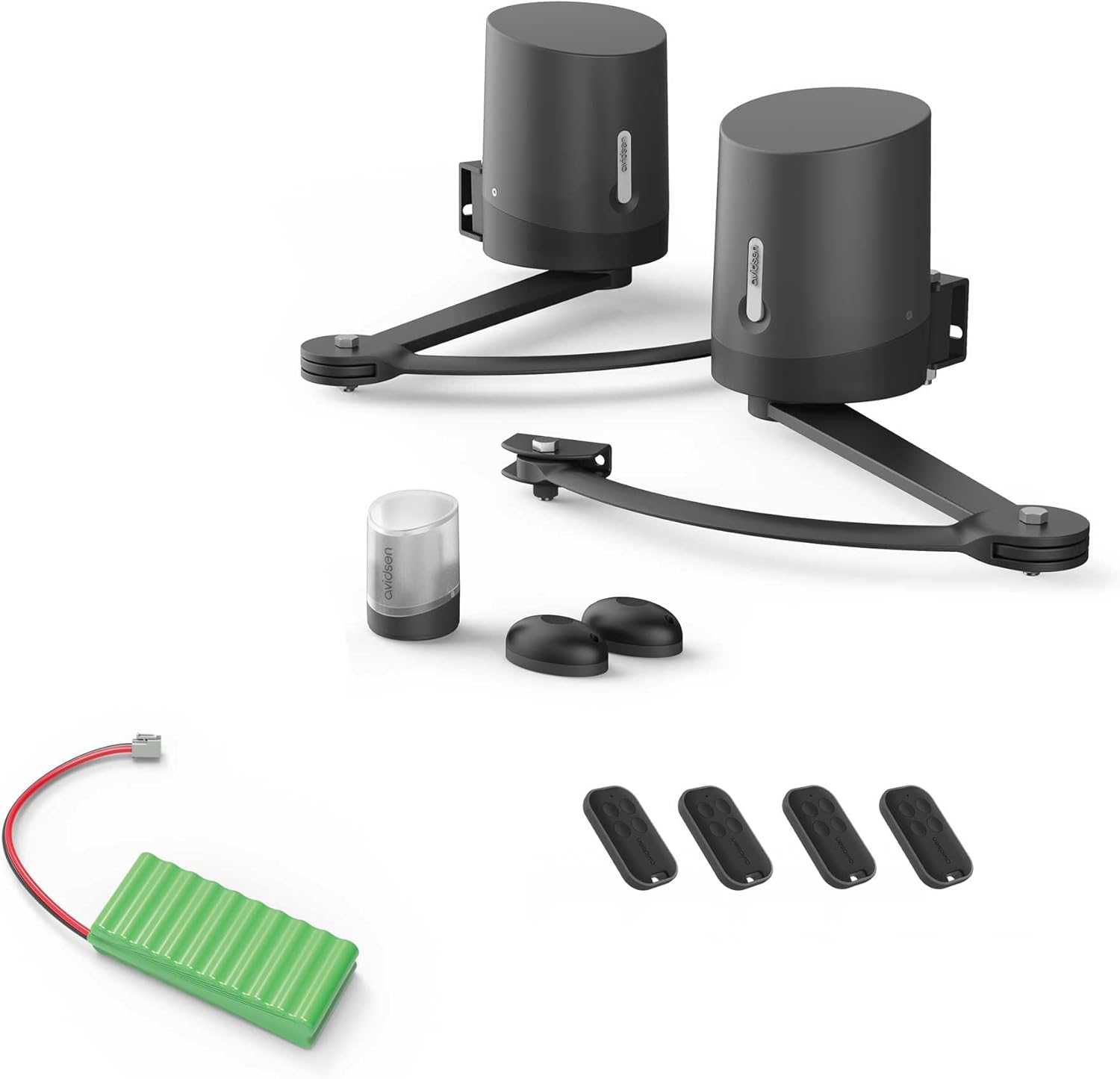 Avidsen Orane 510 – jusqu'à 2.5 m et 250 kg par battant, avec batterie de secours 24V incluse, 3 ans, Noir/Vert