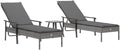 vidaXL Chaise Longue avec Coussin – Fauteuil avec Dossier Réglable, Gris Résine Tressée, Bain de Soleil